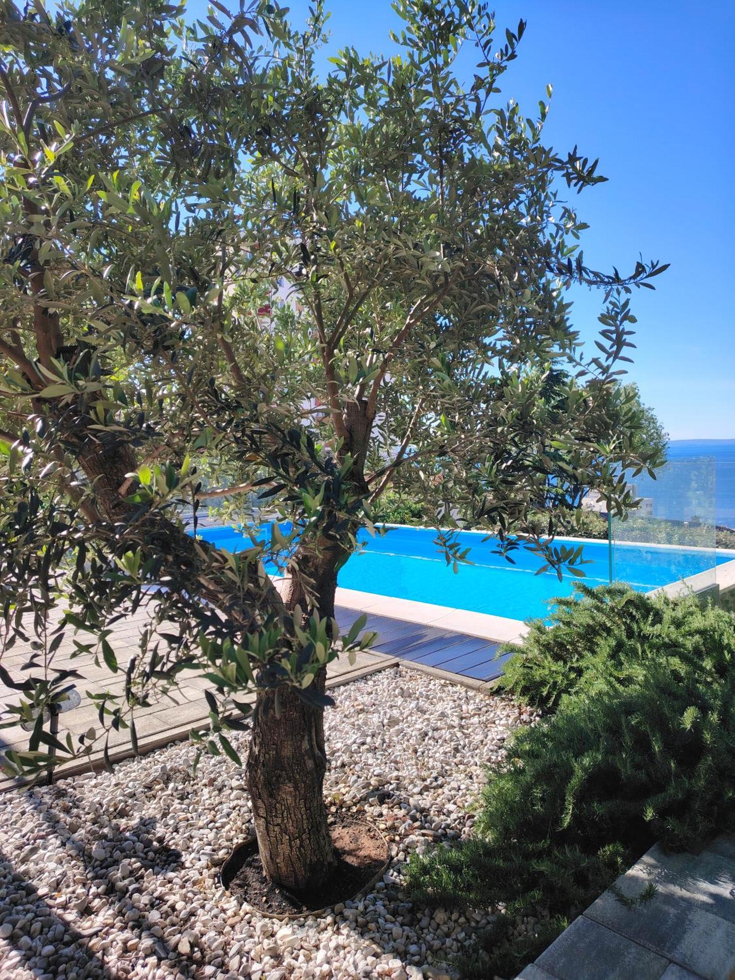 Apartman Xenna Rijeka Exteriör bild